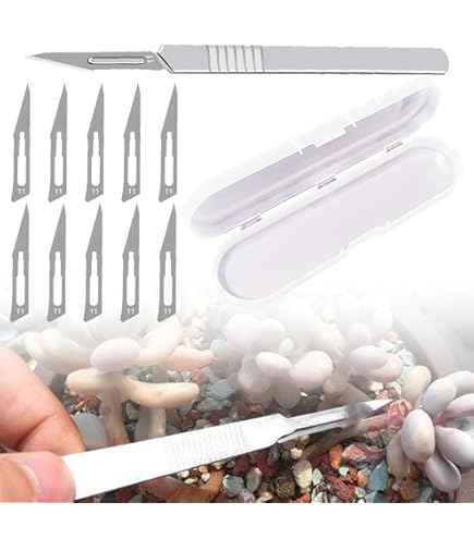 Amazon.co.jp: ConMed ディスポーザブルメス先電極 ブレード絶縁タイプ